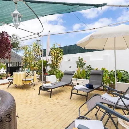 Emblematica Helechos Los Realejos