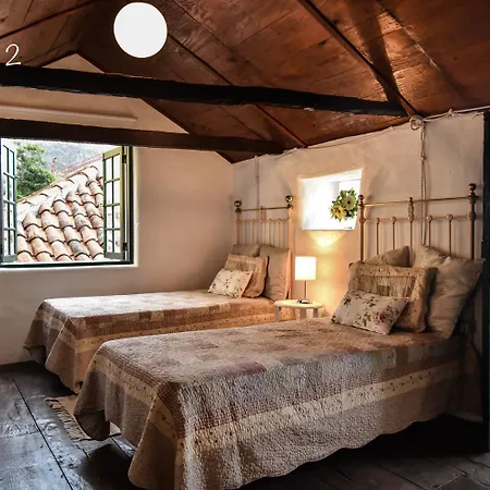 Emblematica Helechos Ferienhaus Los Realejos