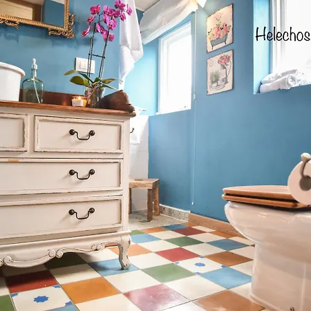 Emblematica Helechos Los Realejos