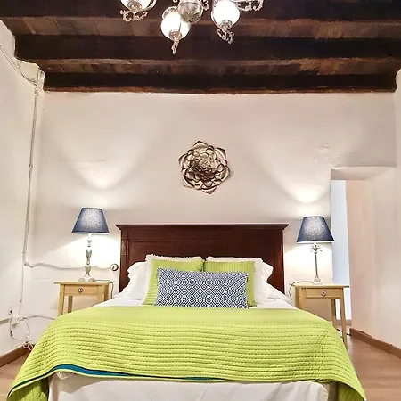 Emblematica Helechos Los Realejos