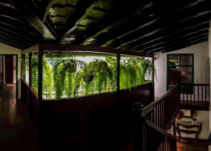 Emblematica Helechos Vakantiehuis Los Realejos