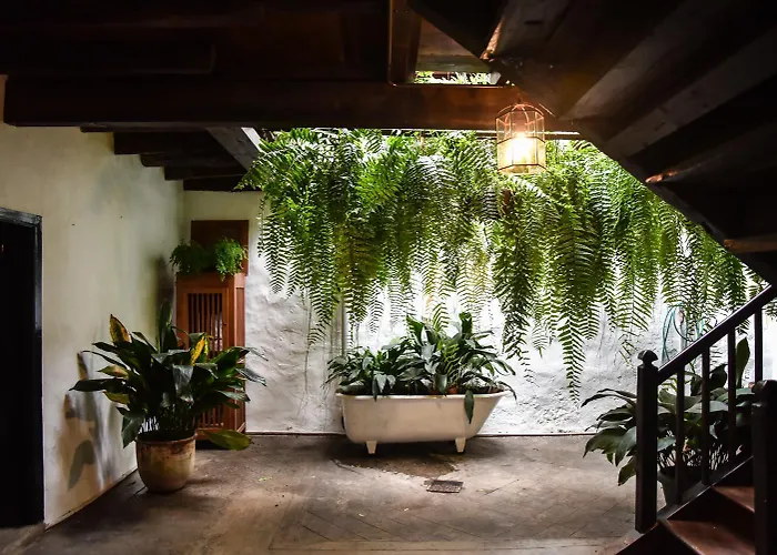 Vakantiehuis Emblematica Helechos Los Realejos