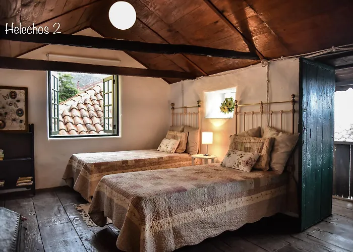 Emblematica Helechos Holiday home Los Realejos