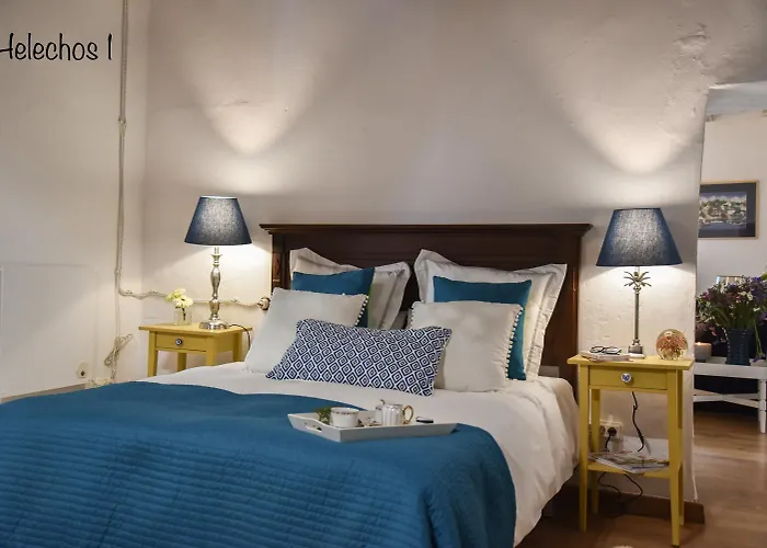 Emblematica Helechos *