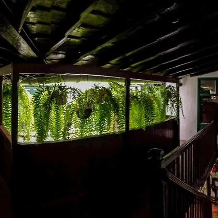 Emblematica Helechos 度假居 洛斯雷尔雷赫斯