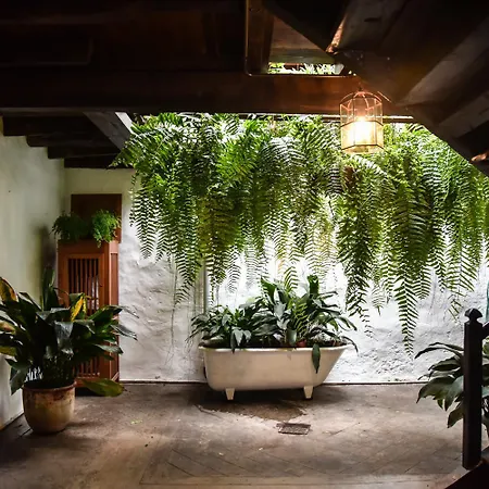 Casa de Férias Emblemática Helechos Los Realejos