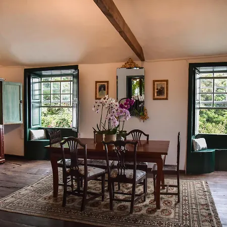 Emblematica Helechos * 洛斯雷尔雷赫斯