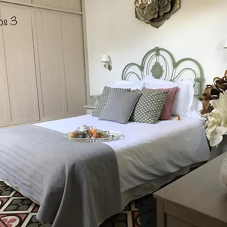 Emblemática Helechos *