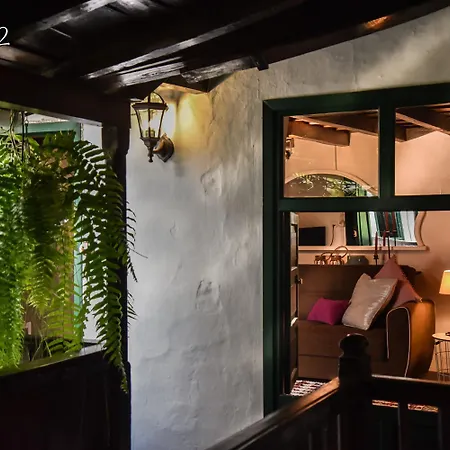 Emblematica Helechos * 洛斯雷尔雷赫斯