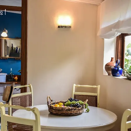 Emblemática Helechos