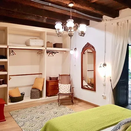 Emblemática Helechos Los Realejos