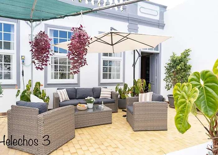 Emblematica Helechos ロス・レアレホス