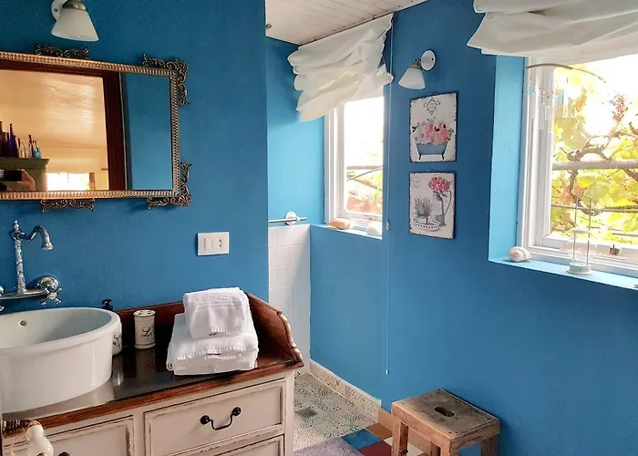 Emblematica Helechos * ロス・レアレホス