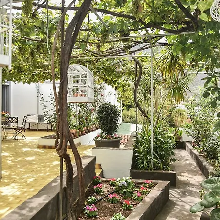 Nyaraló Emblematica Helechos