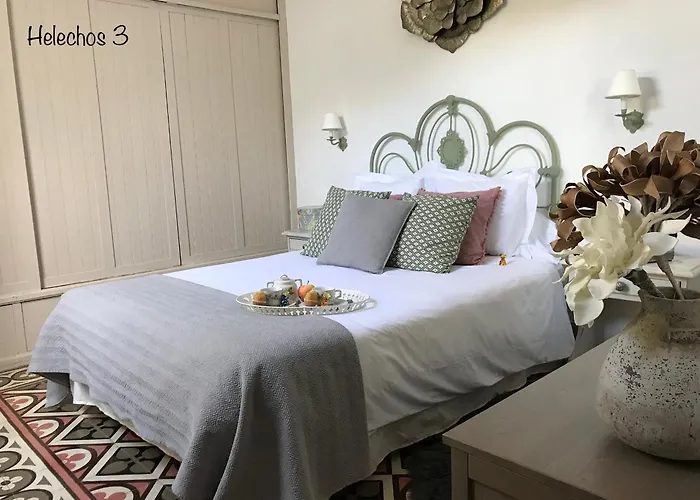 Emblematica Helechos *