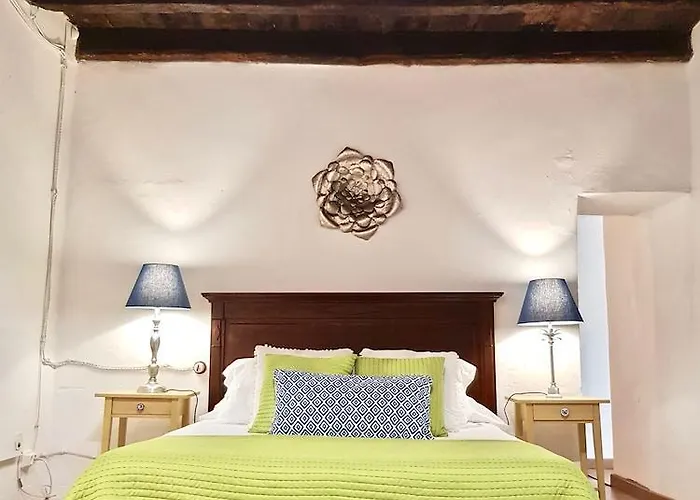 Emblematica Helechos Los Realejos